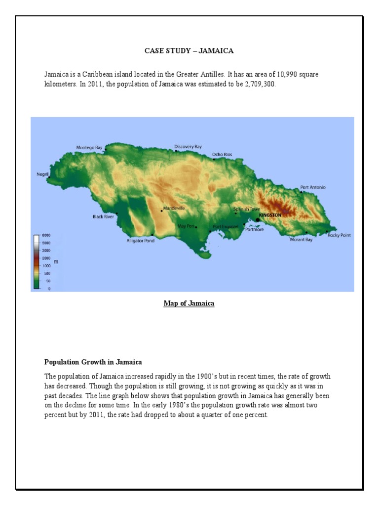 Case Study Jamaica PDF