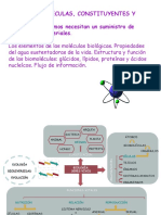 Tema 1 2023 María PDF