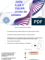 10 Transducción de Señales PDF