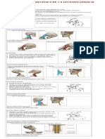 Exploración Neurológica de La Columna Cervical