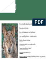 Lobo Ibérico PDF