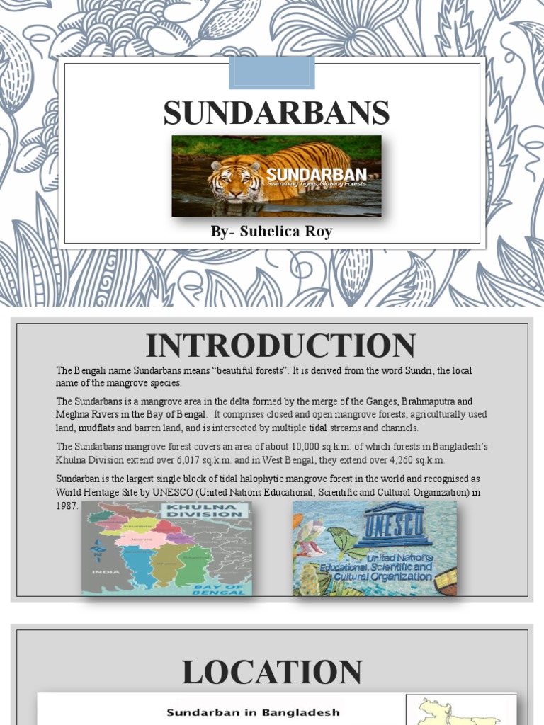 SUNDARBANS | PDF | Natural Environment | Earth Sciences