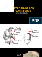 U3. Micropaleontología.02