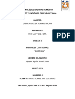 Derecho Laboral - Irigoyen Brenda PDF