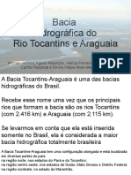 Trabalho Bacia Hidrográfica Do Rio Tocantins e Araguaia