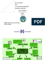 MAPA CONCEPTUAL GENETICA