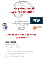 Neurorea L Burnol 15-12-2016 PDF