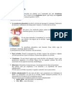 Citologia PDF