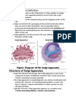 Golgi Apparatus