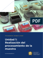PCT U1 PDF