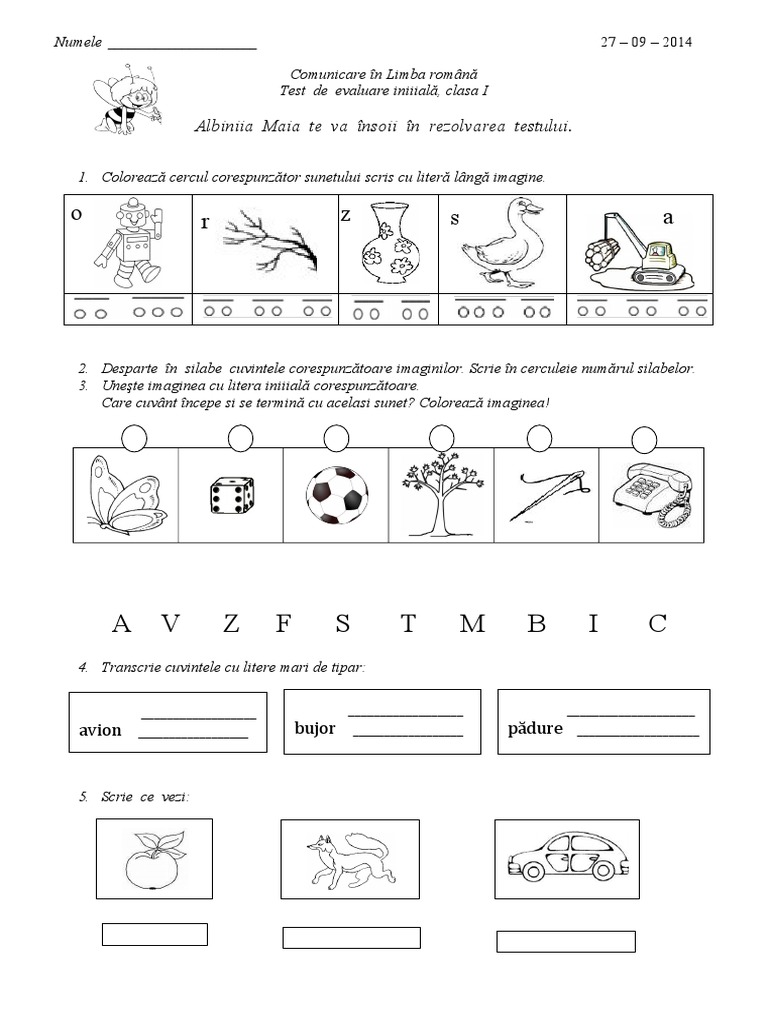 Evaluare Initiala CLR | PDF