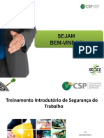 13 - Seg. Com Veíc. e Transp. de Pessoas Materiais e Equipamentos.