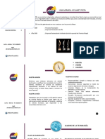 Presentación PLANET PIZZA 2023 PDF