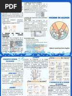 5 Momentos Clave para Higiene de Manos | PDF | Lavado de manos | Higiene