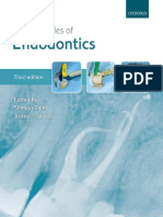 The Principles of Endodontics.pdf