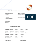 Ficha Tecnica Sencilla PDF