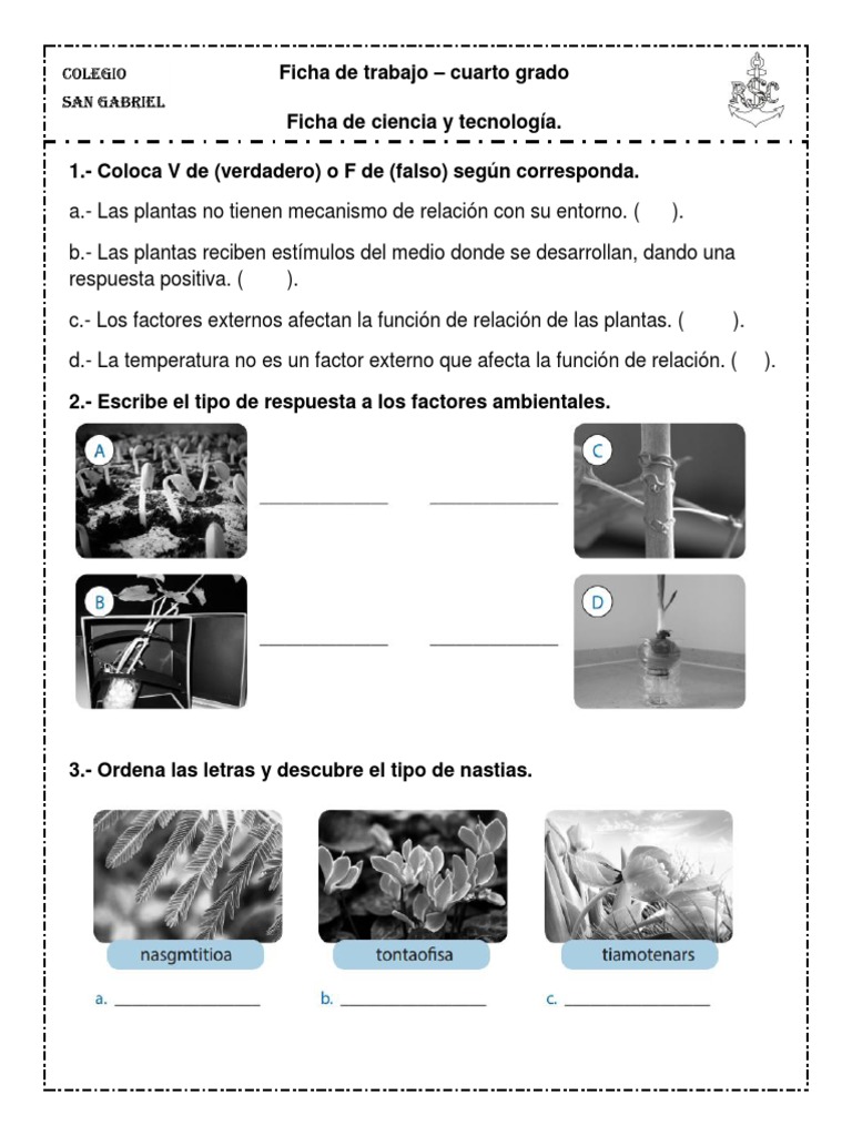 Ficha de Ciencia y Tecnología 4° Grado | PDF