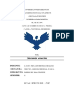 A.ordenanza Municipal PDF