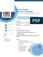 Alexis Ruben Curriculo Echo PDF