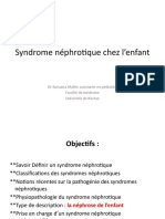 18-Syndrome Néphrotique Chez L'enfant Fevrier 2023.ppsx