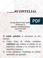 Histología Epitelio Fisioterapia A3 Agosto 22 de 2020
