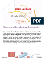 Fisiología Cardíaca A3 Septiembre 28 de 2020