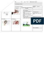 Ficha Componentes Corporal-Motriz 22-23