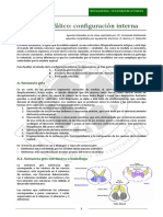 Configuración Interna de Tronco Encefálico PDF