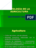 Agricultura tradicional andina