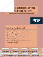 Biomedical Perspective in Gender and Society