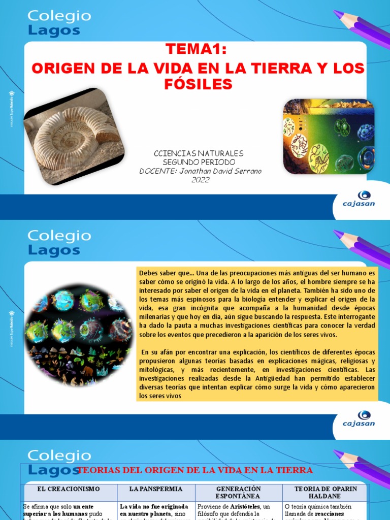 Ova - Tema 4 - El Origen de La Vida - Ciencias Naturales | PDF | Vida ...