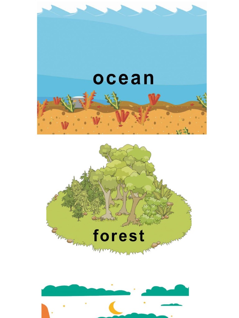 Print Habitat | PDF