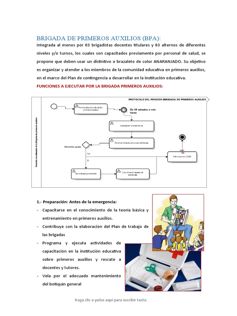 Brigada de Primeros Auxilios Escolar | PDF | Plan de estudios ...