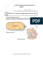 Guia 1 - Ciencias Pie Octavo