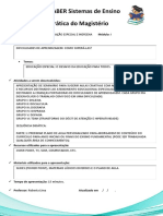 Formulário Da Prática Do Magistério - Educação Especial Com Indígena I PDF