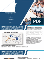 Psicología - Semana 2 - Bases Biológicas de La Conducta