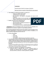 Reglas y Consejos Lengua 2023 PDF