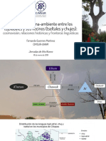 FGM Jornadas de Año Nuevo 2019 CIMSUR PDF