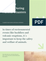 Green and White Simple Animal Welfare Natural Disaster Keynote Presentation PDF