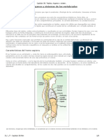 Capc3adtulo 39 Tejidos C3b3rganos y Sistemas de Los Vertebrados PDF