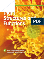 How Plants Produce, Transport, and Use Food