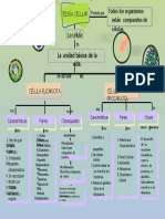 Mapa Conceptual Teoria Celular 2