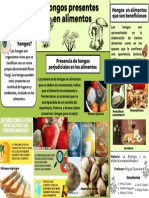 Póster de Hongos en Alimentos