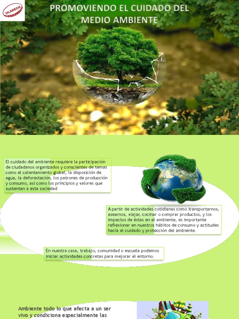 Acciones para Cuidar el Medio Ambiente | PDF | Entorno natural | Residuos