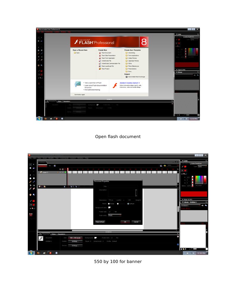 Flash Animation Basics Guide | PDF
