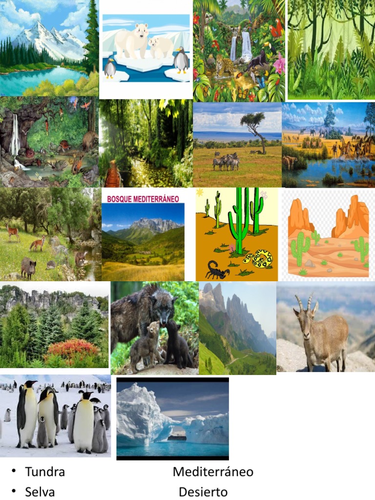 ecosistema-pdf