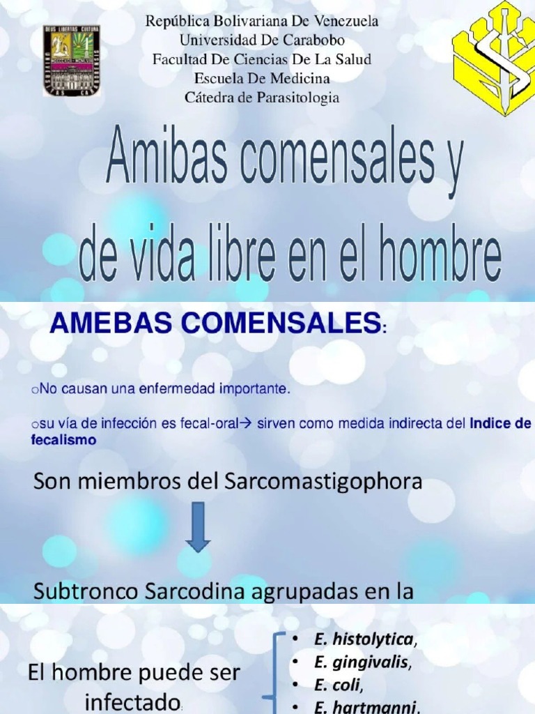 Amebas Comensales Del Hombre | PDF