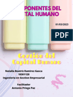 Componentes Del Capital Humano