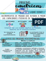 Infografia Pruebas Psicometricas