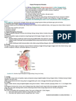 Organ Pernapasan Manusia